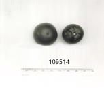 Click for 1 image(s) for this accession. FRUIT